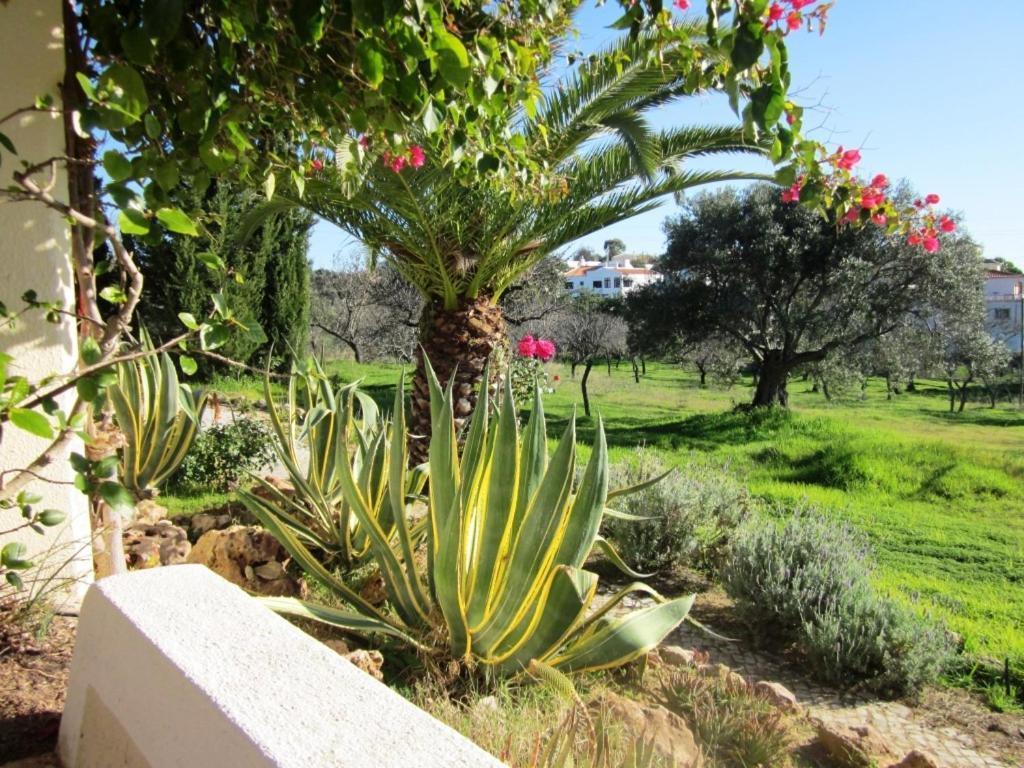 Quinta Mimosa Hotel Loule Phòng bức ảnh
